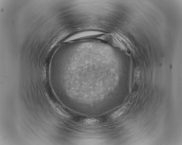 X0000086940158200705071427