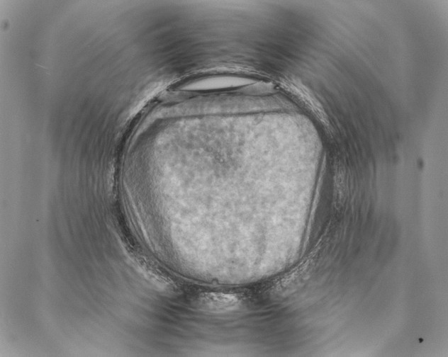 X0000086940159200705071427