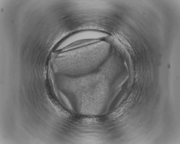 X0000086940160200705071427