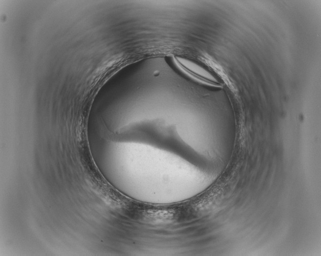 X0000086940161200705071427