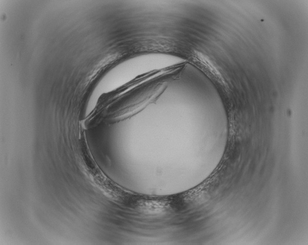 X0000086940163200705071427