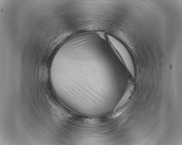 X0000086940164200705071427