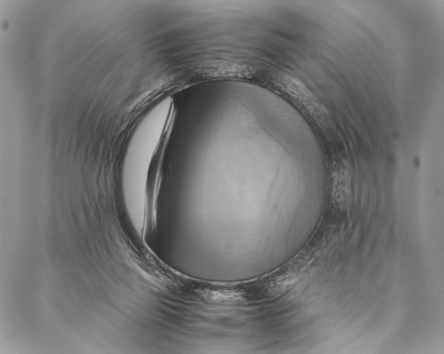 X0000086940165200705071427