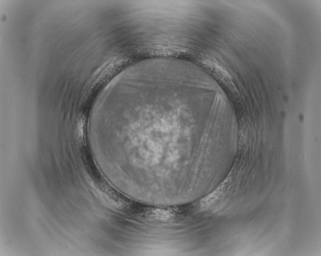 X0000086940166200705071427