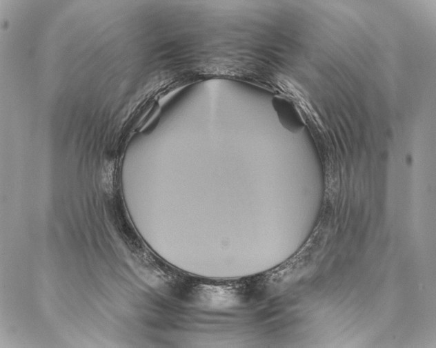 X0000086940167200705071427