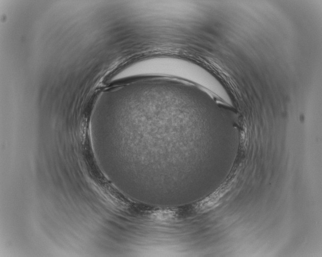 X0000086940168200705071427