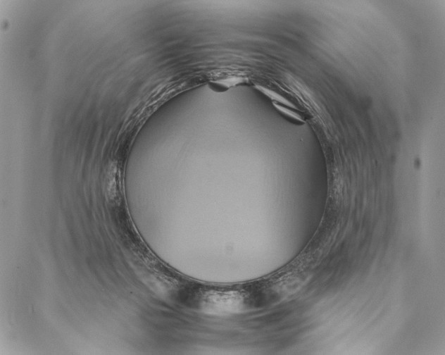 X0000086940169200705071427