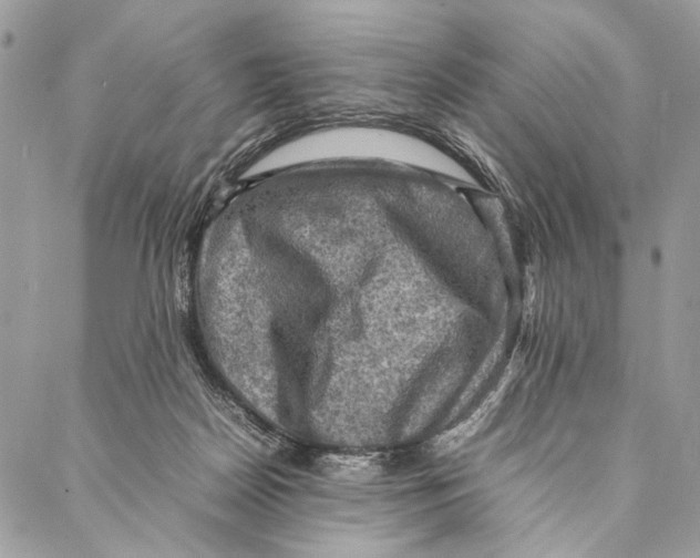 X0000086940170200705071427