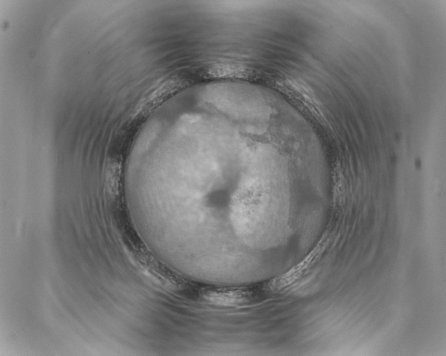 X0000086940171200705071427