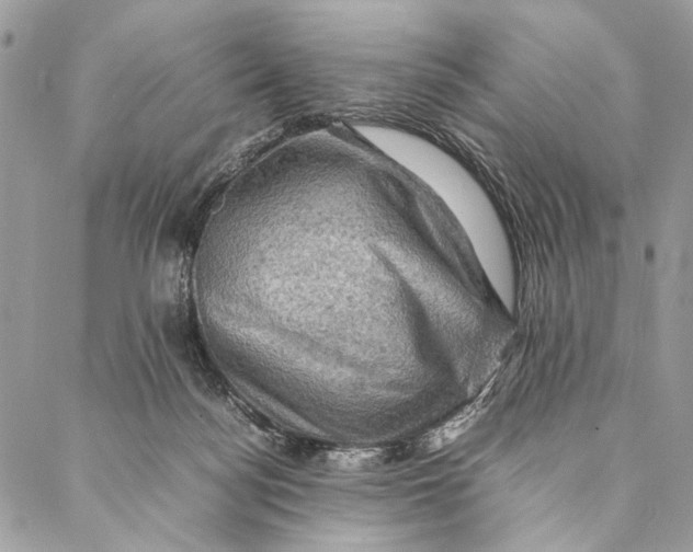 X0000086940172200705071427