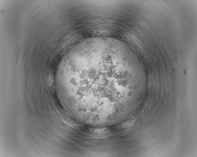 X0000086940173200705071427