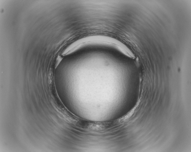 X0000086940174200705071427