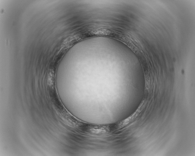 X0000086940175200705071427