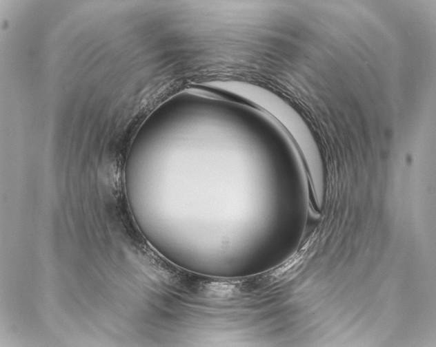 X0000086940176200705071427