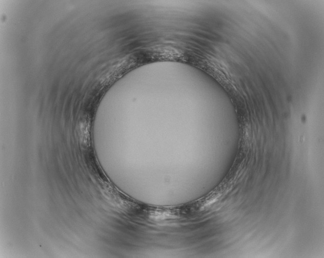 X0000086940177200705071427