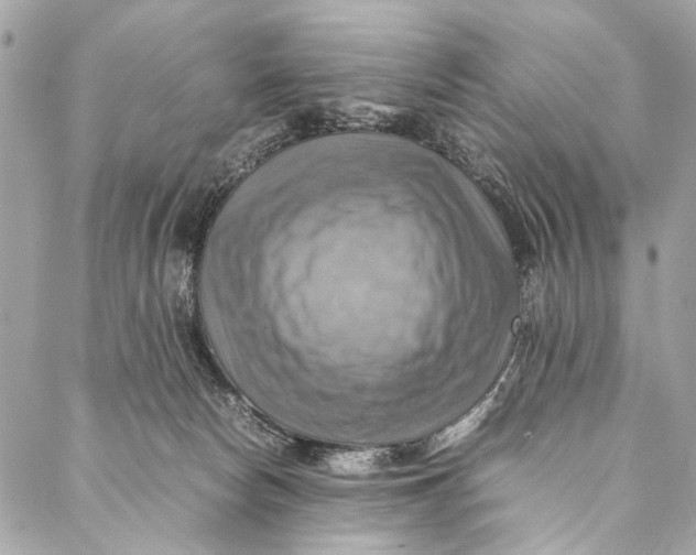 X0000086940178200705071427