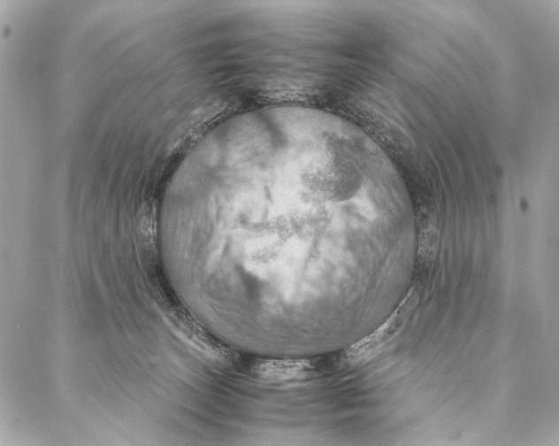 X0000086940179200705071427