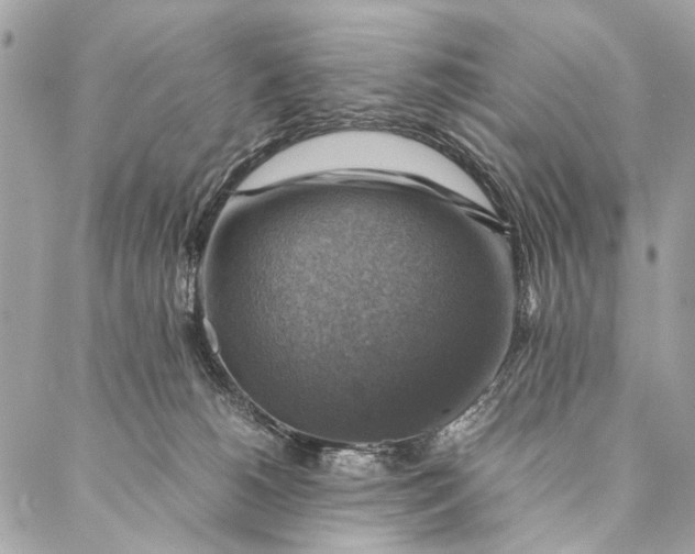 X0000086940180200705071427