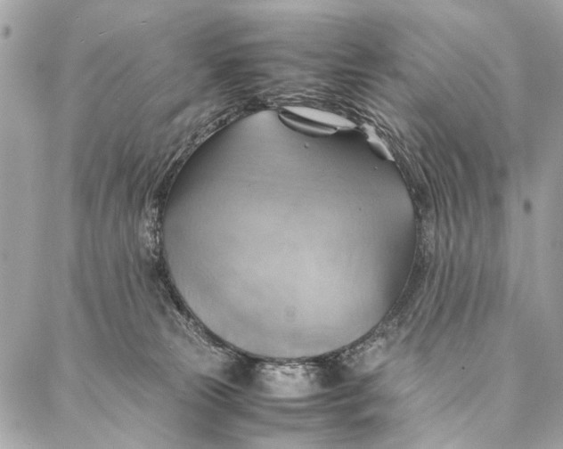 X0000086940181200705071427