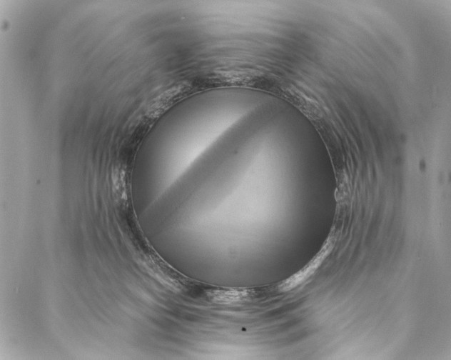 X0000086940182200705071427