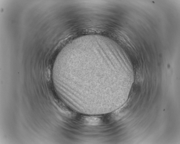 X0000086940183200705071427