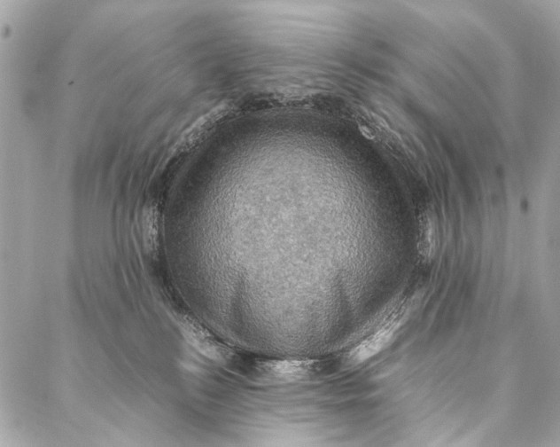 X0000086940184200705071427