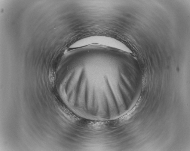 X0000086940186200705071427