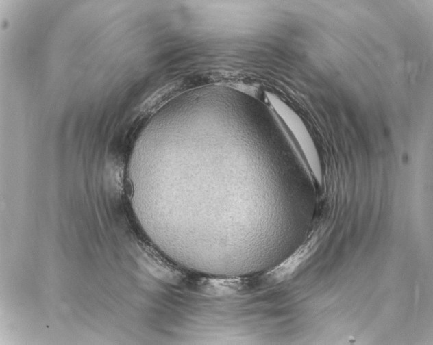 X0000086940188200705071427