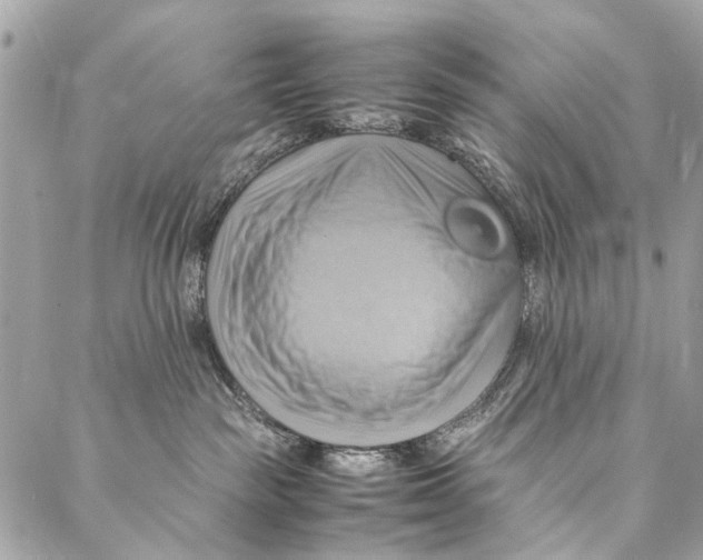 X0000086940189200705071427