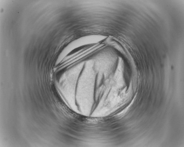 X0000086940190200705071427