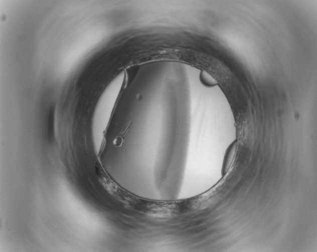 X0000086940191200705071427