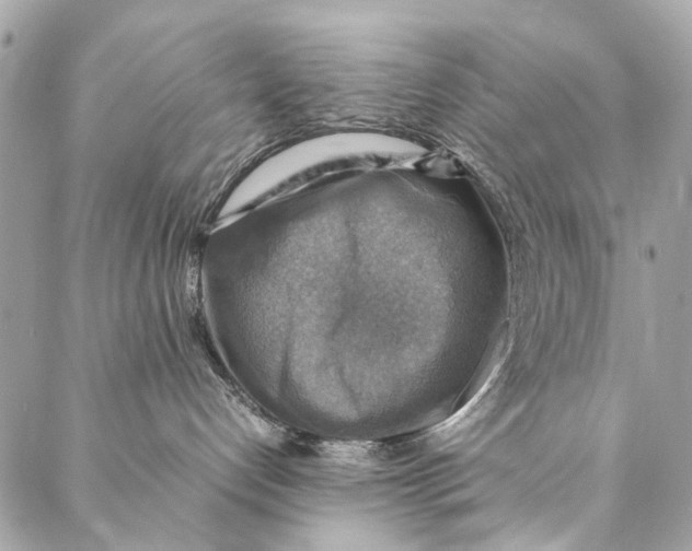 X0000086940192200705071427