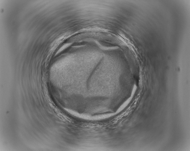 X0000086940193200705071426