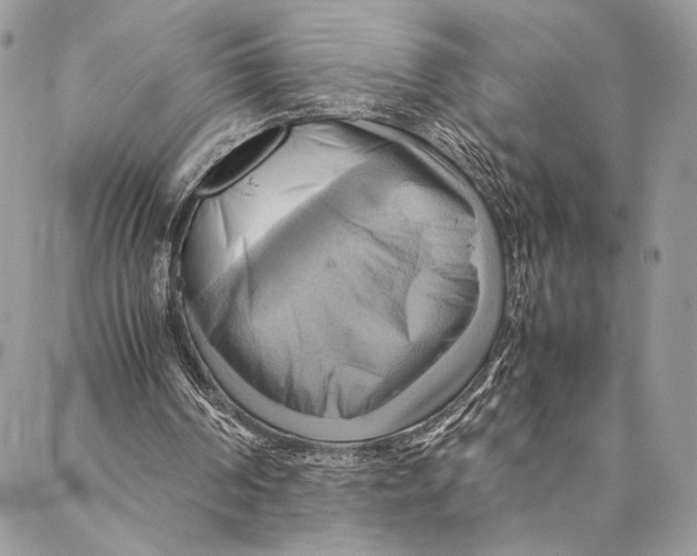 X0000086940194200705071426