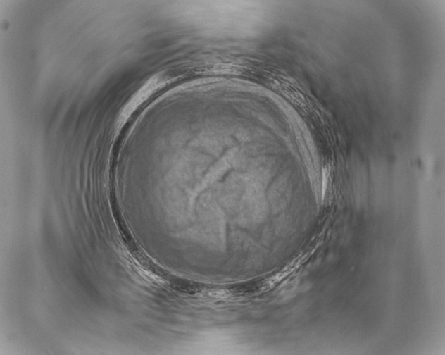 X0000086940195200705071426