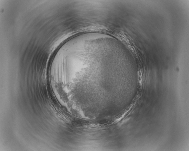 X0000086940196200705071426