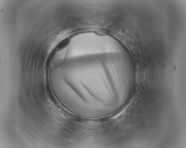 X0000086940198200705071426