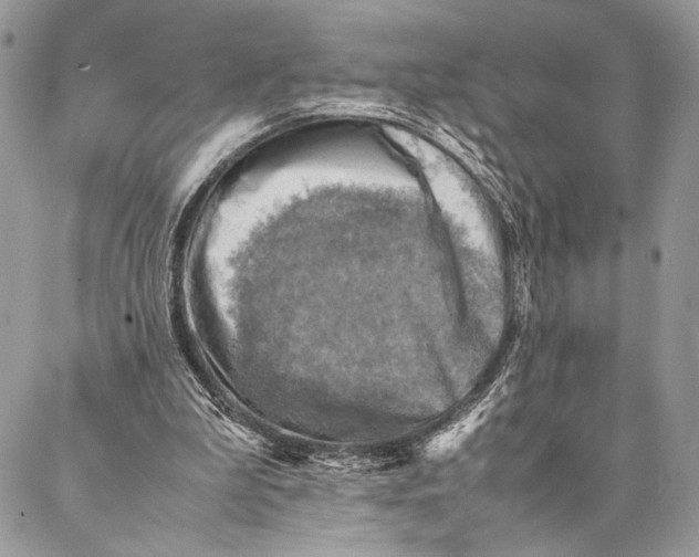 X0000086940199200705071426