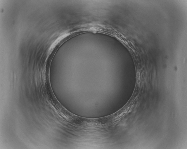 X0000086940200200705071426