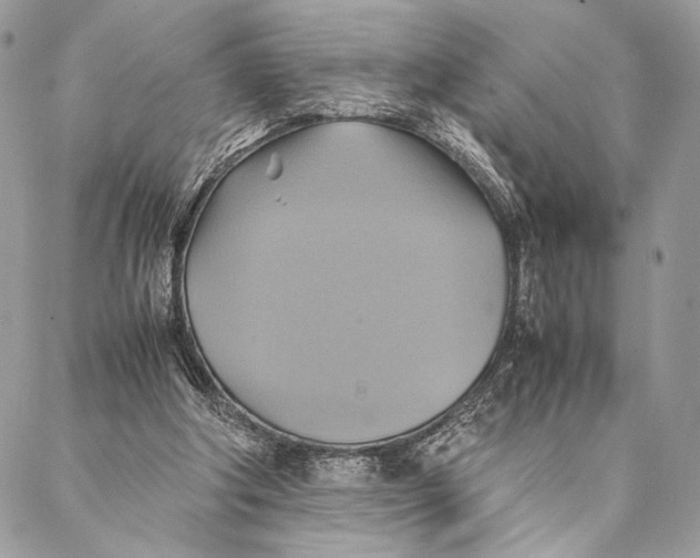 X0000086940202200705071426