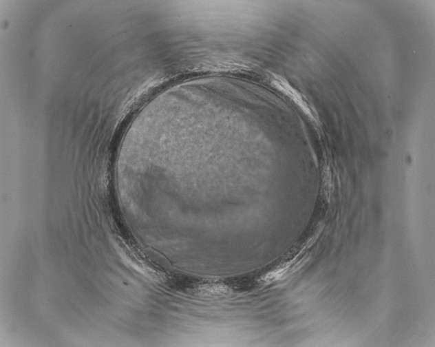 X0000086940203200705071426