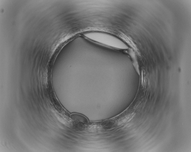 X0000086940204200705071426