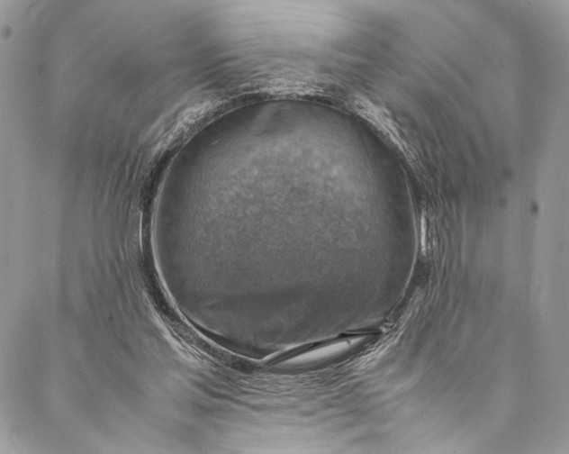 X0000086940205200705071426