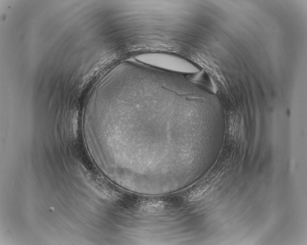 X0000086940206200705071426