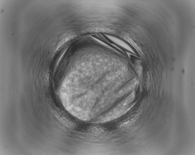 X0000086940207200705071426