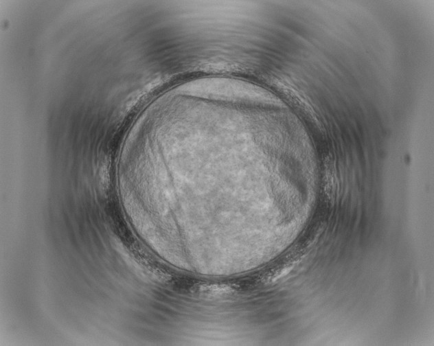 X0000086940208200705071426