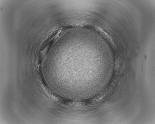 X0000086940209200705071426