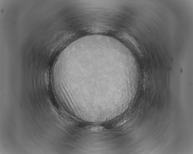 X0000086940210200705071426