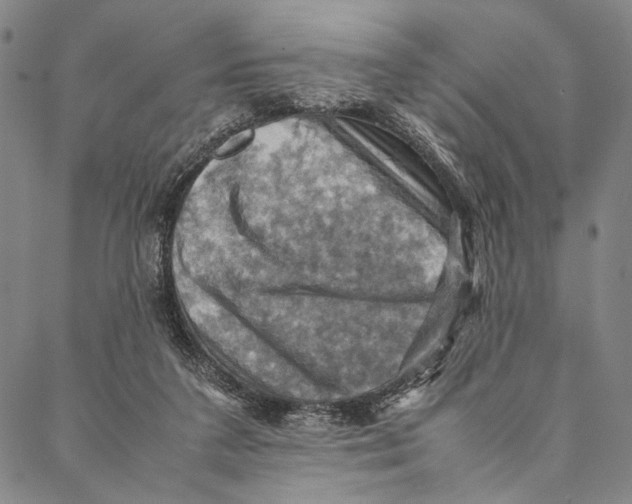 X0000086940211200705071426