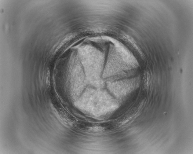 X0000086940212200705071426